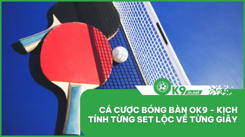 Cá Cược Bóng Bàn Ok9 - Kịch Tính Từng Set Lộc Về Từng Giây