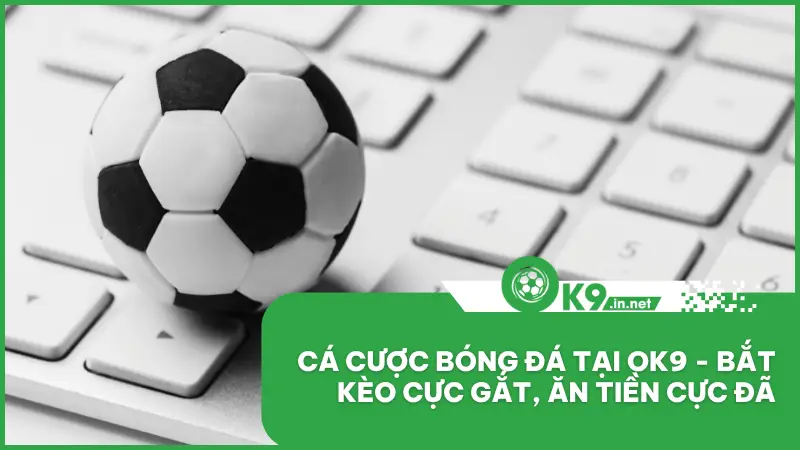 Cá Cược Bóng Đá Tại Ok9 - Bắt Kèo Cực Gắt, Ăn Tiền Cực Đã