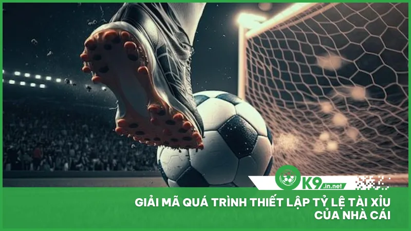 Tỷ lệ tài xỉu của nhà cái được thiết lập dựa trên nhiều quá trình phân tích
