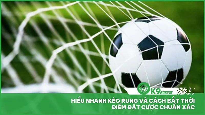 Hiểu nhanh kèo rung và cách bắt thời điểm đặt cược chuẩn xác