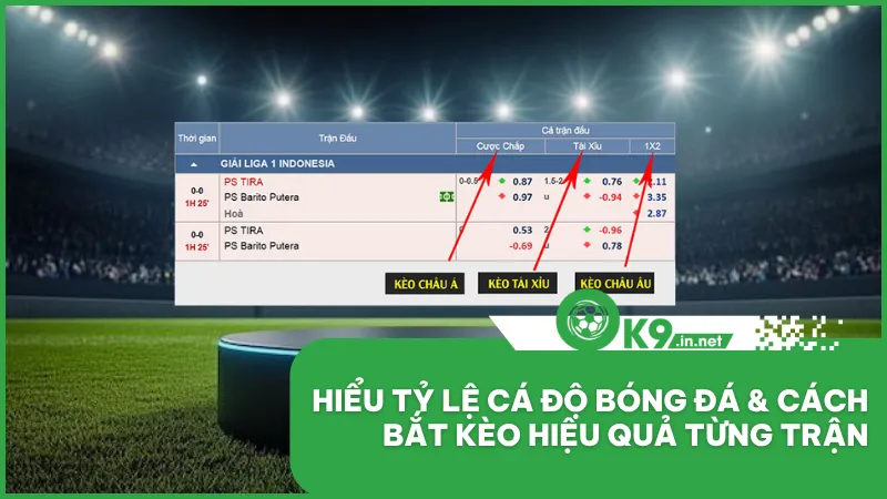Hiểu Tỷ Lệ Cá Độ Bóng Đá & Cách Bắt Kèo Hiệu Quả Từng Trận
