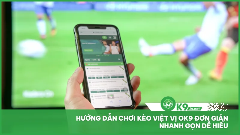 Kèo việt vị ok9 - Cách chơi dễ hiểu, cược nhanh thắng lớn 3 Hướng dẫn chơi kèo việt vị ok9 đơn giản nhanh gọn dễ hiểu