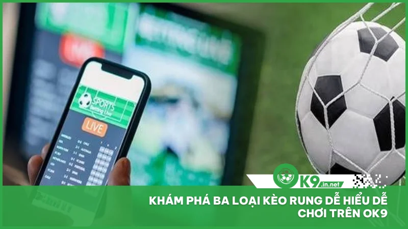 Khám phá ba loại kèo rung dễ hiểu dễ chơi trên ok9