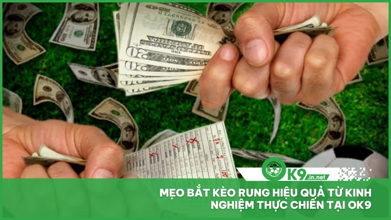 Mẹo bắt kèo rung hiệu quả từ kinh nghiệm thực chiến tại ok9