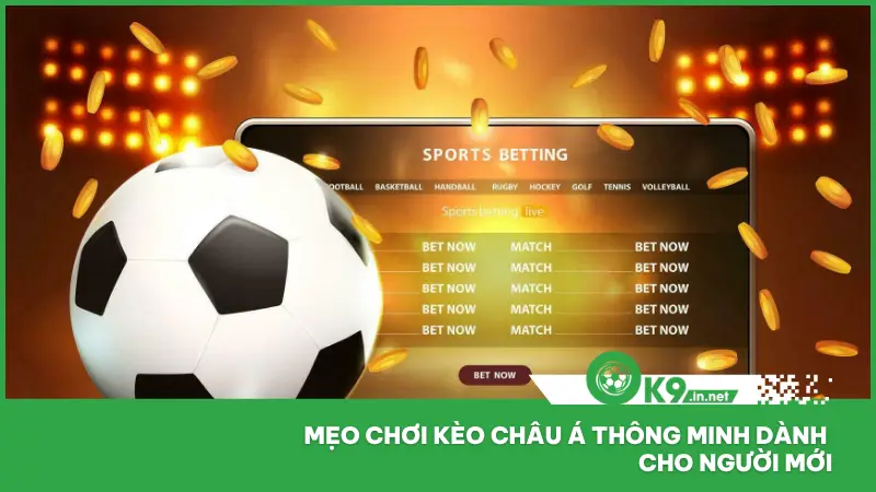 Một số kinh nghiệm đã được người chơi tại ok9 áp dụng và đánh giá cao