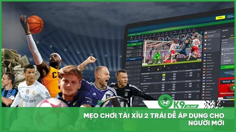Mẹo chơi tài xỉu 2 trái dễ áp dụng cho người mới