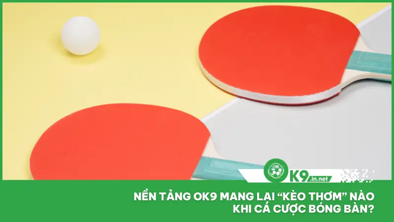 Cá Cược Bóng Bàn Ok9 - Kịch Tính Từng Set Lộc Về Từng Giây 4 Cá cược bóng bàn tại ok9 đang trở thành lựa chọn được nhiều người chơi ưa chuộng