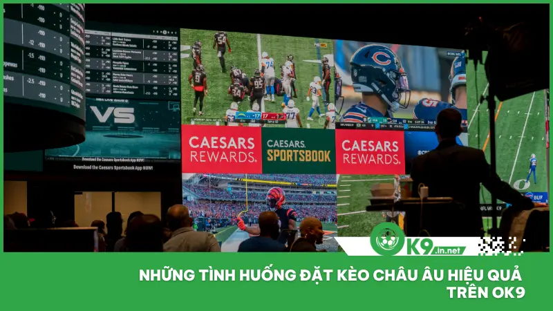 Không phải lúc nào cũng nên chọn cược kèo châu Âu chỉ vì nó đơn giản