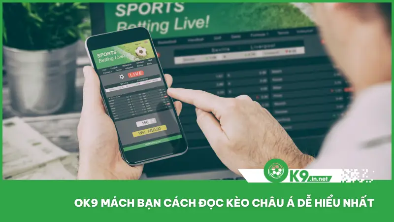 Kèo châu Á tại ok9 được tối ưu trực quan bằng màu sắc và phân tách từng loại kèo