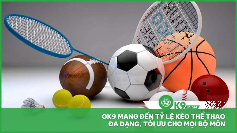 Ok9 mang đến tỷ lệ kèo thể thao đa dạng, tối ưu cho mọi bộ môn