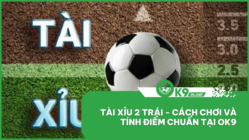 Tài xỉu 2 trái - Cách chơi và tính điểm chuẩn tại ok9