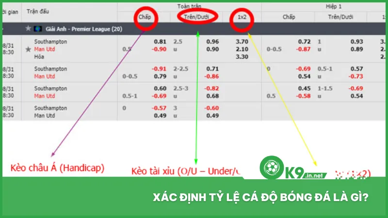 Hiểu Tỷ Lệ Cá Độ Bóng Đá & Cách Bắt Kèo Hiệu Quả Từng Trận 2 Tỷ lệ cá độ bóng đá thể hiện xác suất và mức thưởng cho kết quả trận đấu